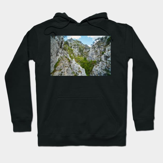 Rocky trail on mountains Hoodie by naturalis